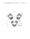 Optimized Fc Variants diagram and image