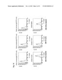 ANTAGONIST ANTIBODY FOR THE TREATMENT OF CANCER diagram and image