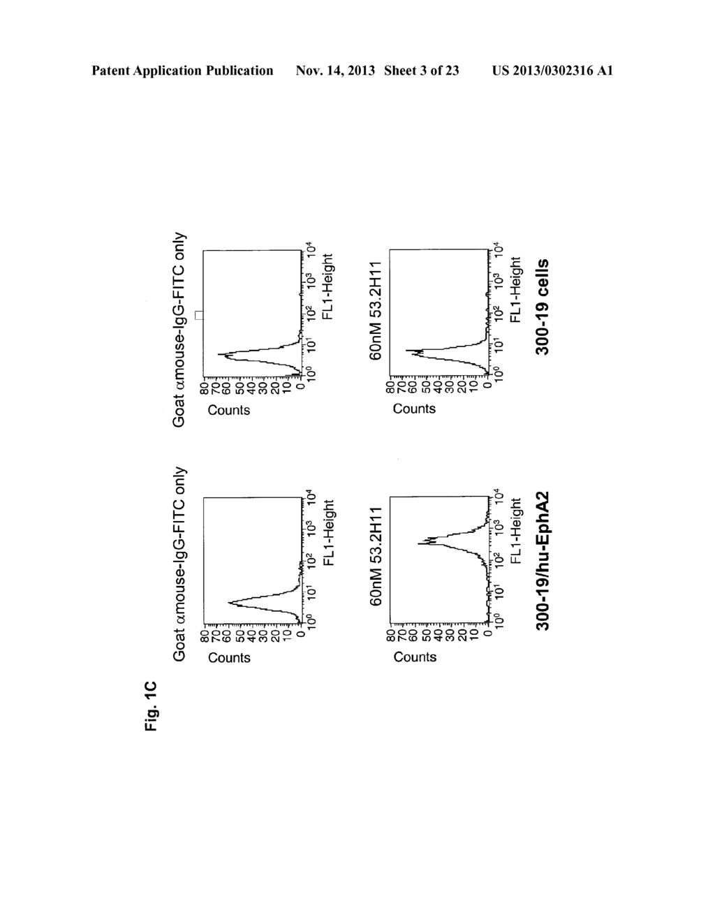 ANTAGONIST ANTIBODY FOR THE TREATMENT OF CANCER - diagram, schematic, and image 04