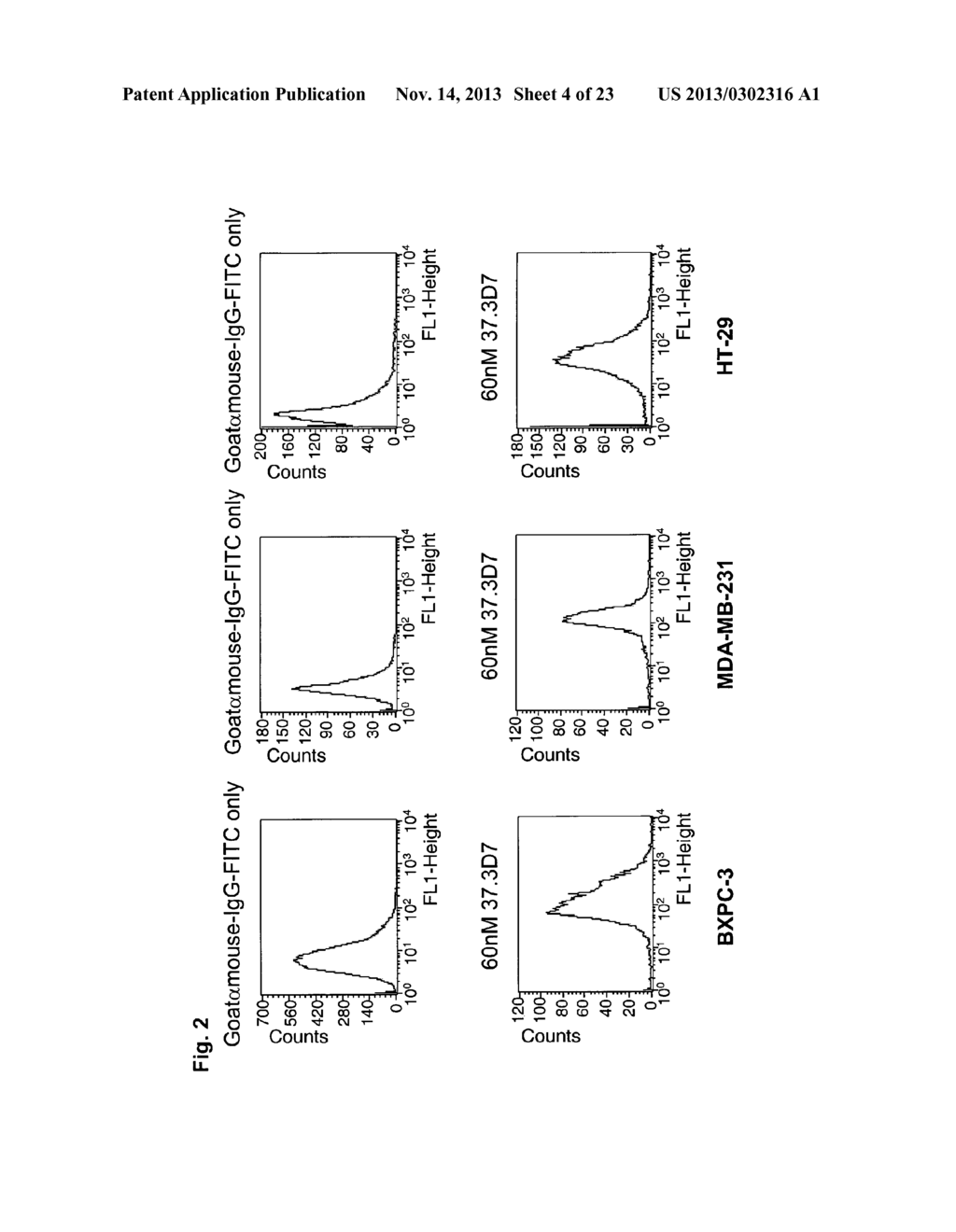 ANTAGONIST ANTIBODY FOR THE TREATMENT OF CANCER - diagram, schematic, and image 05