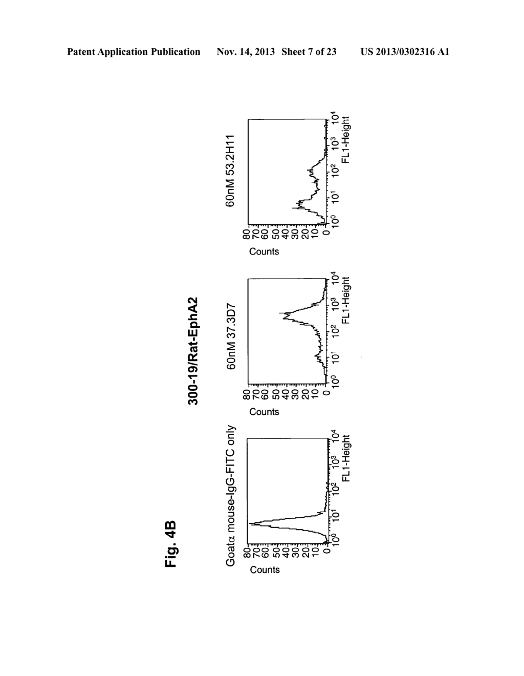 ANTAGONIST ANTIBODY FOR THE TREATMENT OF CANCER - diagram, schematic, and image 08