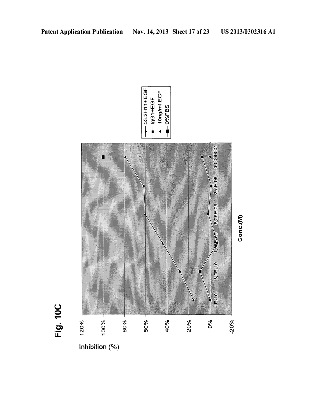 ANTAGONIST ANTIBODY FOR THE TREATMENT OF CANCER - diagram, schematic, and image 18