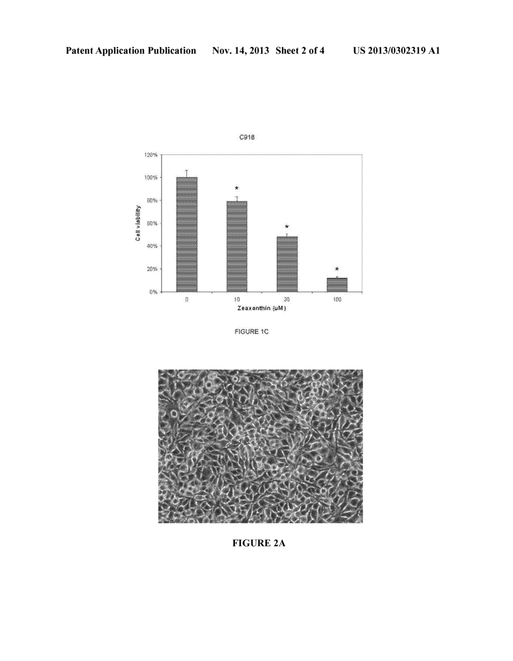 ZEAXANTHIN FOR TUMOR TREATMENT - diagram, schematic, and image 03