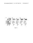 METHODS AND COMPOSITIONS FOR TREATING ALZHEIMER S DISEASE diagram and image