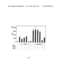 COMPOSITIONS FOR DIAGNOSIS AND THERAPY OF DISEASES ASSOCIATED WITH     ABERRANT EXPRESSION OF KREMEN AND OR WNT diagram and image