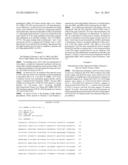 COMPOSITIONS FOR DIAGNOSIS AND THERAPY OF DISEASES ASSOCIATED WITH     ABERRANT EXPRESSION OF KREMEN AND OR WNT diagram and image