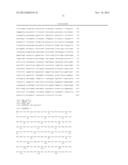 COMPOSITIONS FOR DIAGNOSIS AND THERAPY OF DISEASES ASSOCIATED WITH     ABERRANT EXPRESSION OF KREMEN AND OR WNT diagram and image