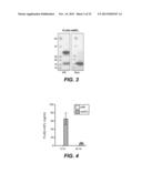 NOVEL RECEPTOR-LIGAND INTERACTION AND USES THEREOF diagram and image