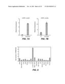 NOVEL RECEPTOR-LIGAND INTERACTION AND USES THEREOF diagram and image