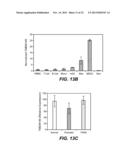 NOVEL RECEPTOR-LIGAND INTERACTION AND USES THEREOF diagram and image