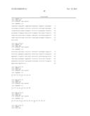 HUMAN CYTOMEGALOVIRUS NEUTRALIZING ANTIBODIES AND USE THEREOF diagram and image