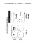 NOVEL MODULATORS AND METHODS OF USE diagram and image