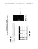 NOVEL MODULATORS AND METHODS OF USE diagram and image