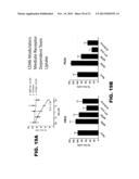 NOVEL MODULATORS AND METHODS OF USE diagram and image