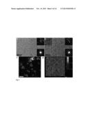 MORPHOLOGICALLY AND SIZE UNIFORM MONODISPERSE PARTICLES AND THEIR     SHAPE-DIRECTED SELF-ASSEMBLY diagram and image