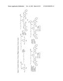 CYTOTOXIC BENZODIAZEPINE DERIVATIVES diagram and image