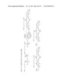 CYTOTOXIC BENZODIAZEPINE DERIVATIVES diagram and image