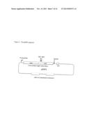 Immunogenic Respiratory Syncytial Virus Glycoprotein-Containing VLPs and     Related Compositions, Constructs, and Therapeutic Methods diagram and image