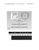 Bi-Functional Short-Hairpin RNA (Bi-shRNA) Specific for Single-Nucleotide     KRAS Mutations diagram and image