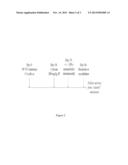 METHODS AND COMPOSITIONS FOR CANCER IMMUNOTHERAPY diagram and image