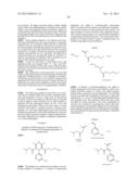 Polymorph Compositions, Methods of Making, and Uses Thereof diagram and image