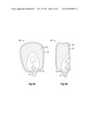 METHODS FOR REMOVAL OF SPECIFIC SEED TISSUE OR STRUCTURE FOR SEED ANALYSIS diagram and image