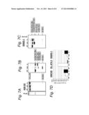 MODULATION OF EXON RECOGNITION IN PRE-MRNA BY INTERFERING WITH THE     SECONDARY RNA STRUCTURE diagram and image