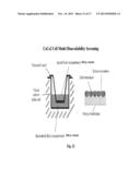 Methods and Compositions for Treating Bleeding Disorders diagram and image