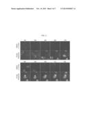 ANNEXIN-BASED APOPTOSIS MARKERS diagram and image