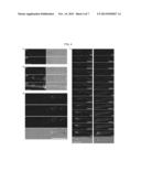 ANNEXIN-BASED APOPTOSIS MARKERS diagram and image