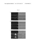 ANNEXIN-BASED APOPTOSIS MARKERS diagram and image