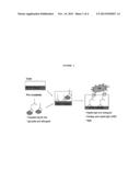 Immunoassay for Direct Determination of Antigen Content of Products     Comprising Adjuvant-Coupled-Antigen Particles diagram and image