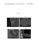 METHODS OF DIRECTLY EXTRACTING MICRORNA FROM MICROVESICLE IN CELL LINE,     CELL CULTURE, OR BODY FLUID diagram and image