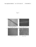 PRODUCTION OF CELL TISSUE HAVING THREE-DIMENSIONAL STRUCTURE USING     ELECTROSTATIC INK JET PHENOMENON diagram and image