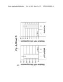 THERAPEUTIC APPLICATIONS OF P53 ISOFORMS IN REGENERATIVE MEDICINE, AGING     AND CANCER diagram and image