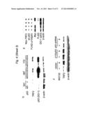 THERAPEUTIC APPLICATIONS OF P53 ISOFORMS IN REGENERATIVE MEDICINE, AGING     AND CANCER diagram and image