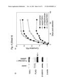 THERAPEUTIC APPLICATIONS OF P53 ISOFORMS IN REGENERATIVE MEDICINE, AGING     AND CANCER diagram and image