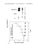 THERAPEUTIC APPLICATIONS OF P53 ISOFORMS IN REGENERATIVE MEDICINE, AGING     AND CANCER diagram and image