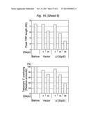 THERAPEUTIC APPLICATIONS OF P53 ISOFORMS IN REGENERATIVE MEDICINE, AGING     AND CANCER diagram and image