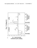 THERAPEUTIC APPLICATIONS OF P53 ISOFORMS IN REGENERATIVE MEDICINE, AGING     AND CANCER diagram and image