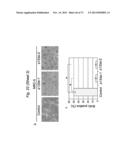 THERAPEUTIC APPLICATIONS OF P53 ISOFORMS IN REGENERATIVE MEDICINE, AGING     AND CANCER diagram and image