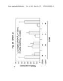 THERAPEUTIC APPLICATIONS OF P53 ISOFORMS IN REGENERATIVE MEDICINE, AGING     AND CANCER diagram and image