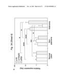 THERAPEUTIC APPLICATIONS OF P53 ISOFORMS IN REGENERATIVE MEDICINE, AGING     AND CANCER diagram and image