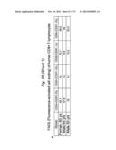 THERAPEUTIC APPLICATIONS OF P53 ISOFORMS IN REGENERATIVE MEDICINE, AGING     AND CANCER diagram and image