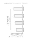 THERAPEUTIC APPLICATIONS OF P53 ISOFORMS IN REGENERATIVE MEDICINE, AGING     AND CANCER diagram and image