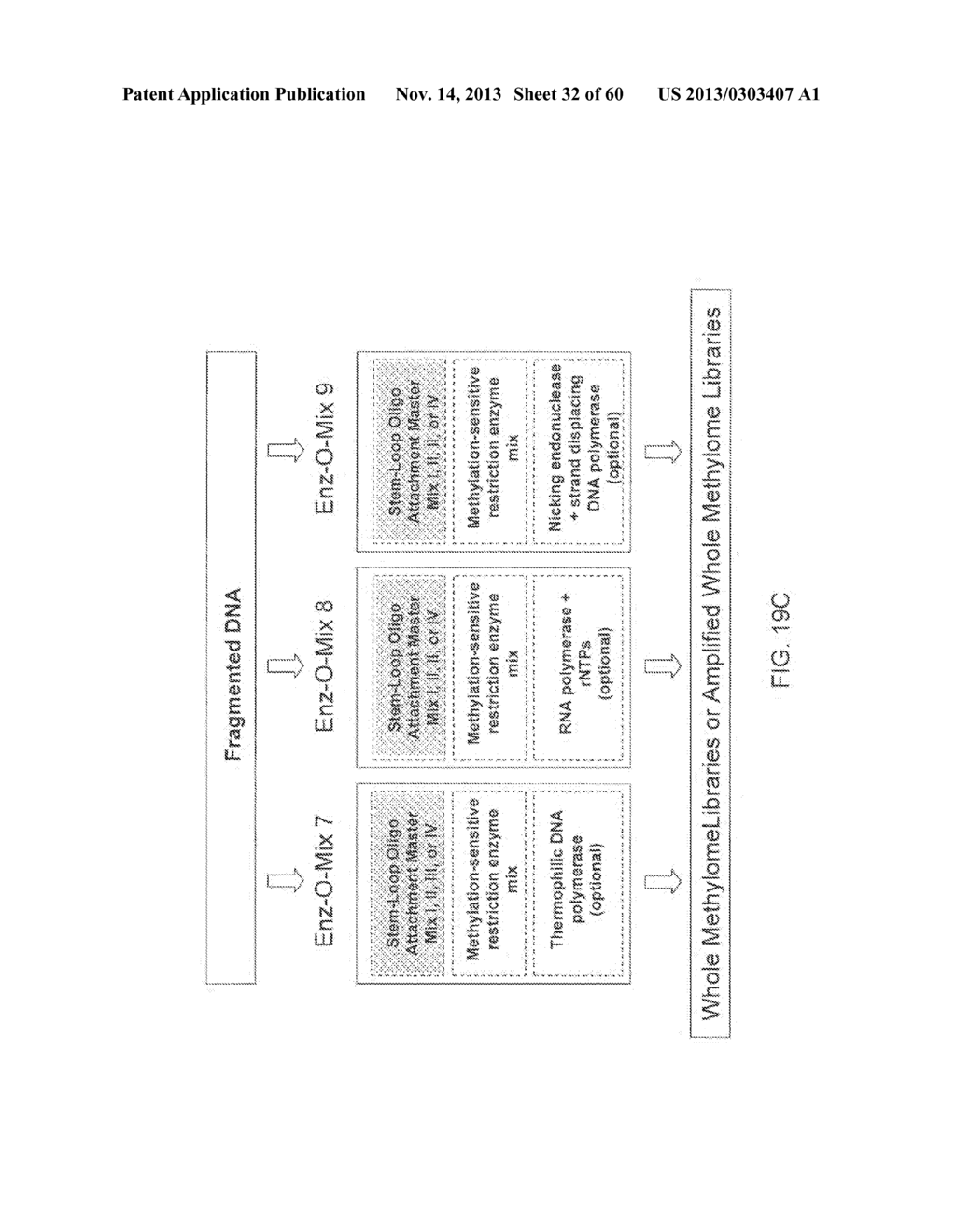 COMPOSITIONS AND METHODS FOR PROCESSING AND AMPLIFICATION OF DNA,     INCLUDING USING MULTIPLE ENZYMES IN A SINGLE REACTION - diagram, schematic, and image 33