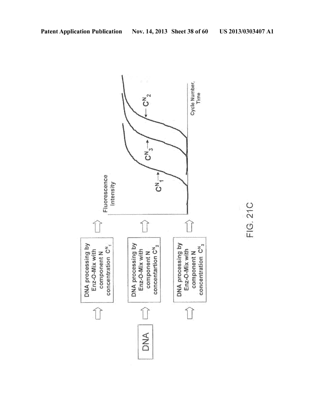 COMPOSITIONS AND METHODS FOR PROCESSING AND AMPLIFICATION OF DNA,     INCLUDING USING MULTIPLE ENZYMES IN A SINGLE REACTION - diagram, schematic, and image 39