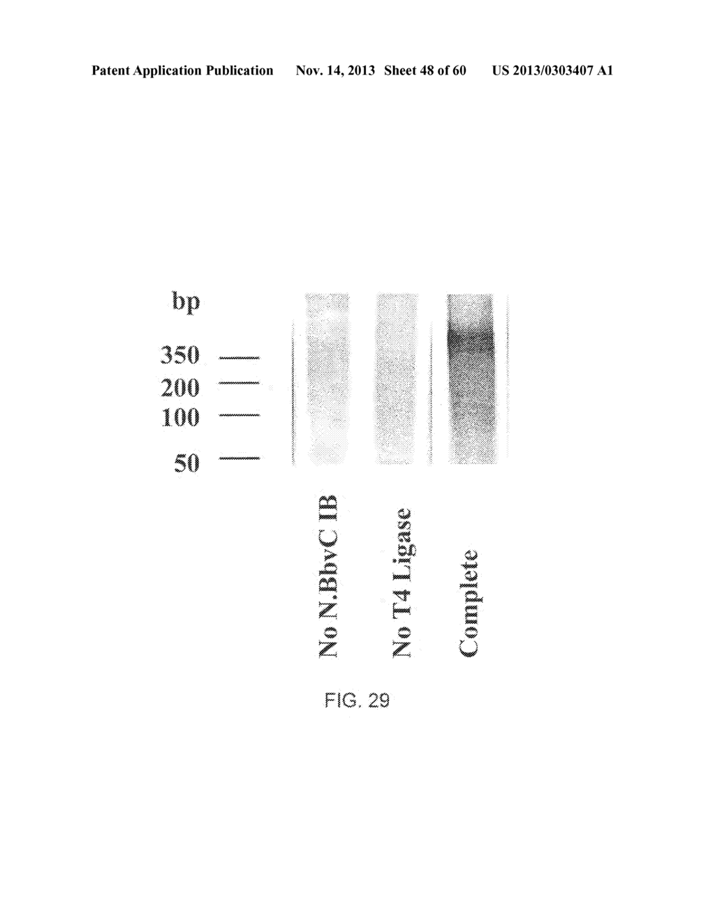 COMPOSITIONS AND METHODS FOR PROCESSING AND AMPLIFICATION OF DNA,     INCLUDING USING MULTIPLE ENZYMES IN A SINGLE REACTION - diagram, schematic, and image 49