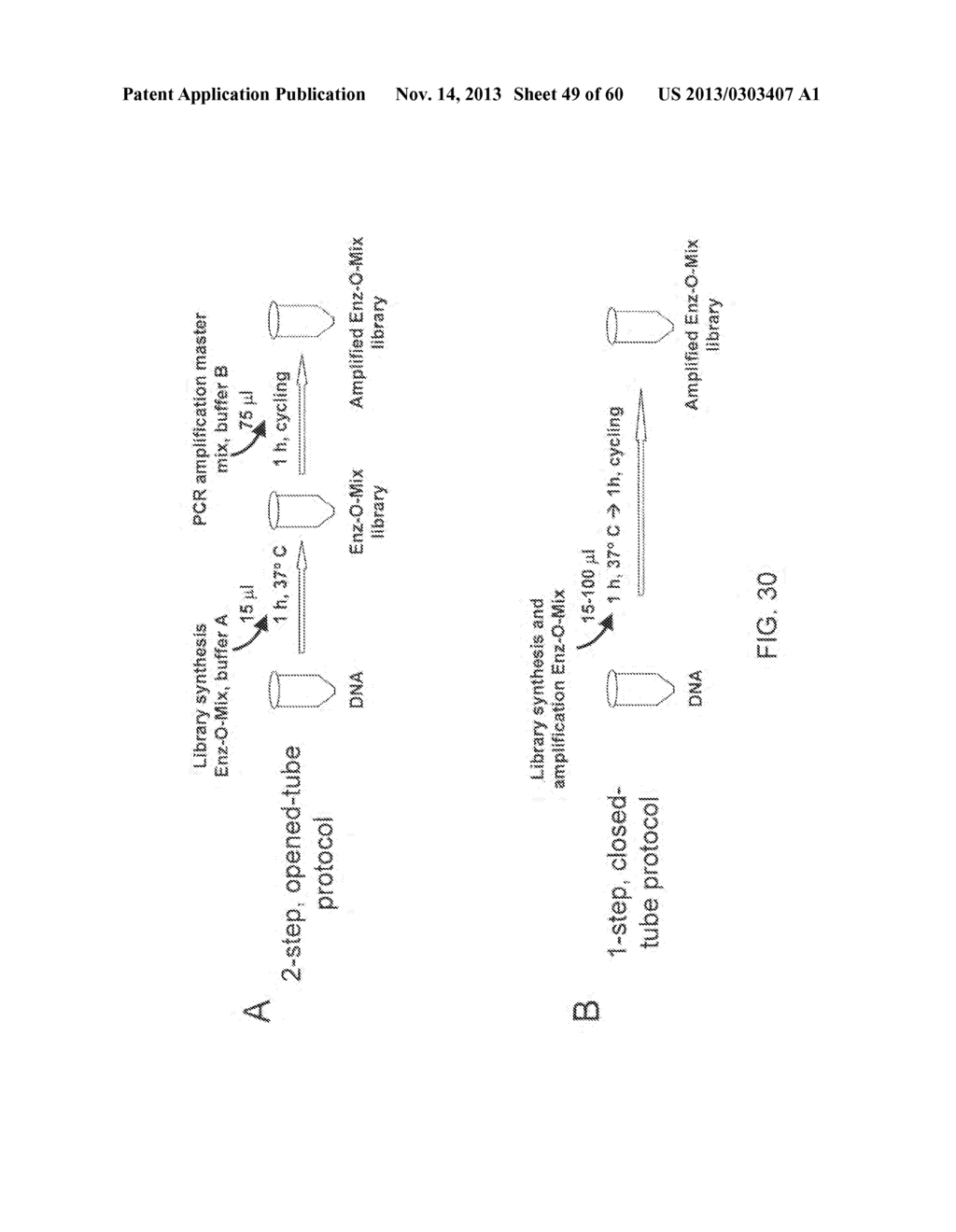 COMPOSITIONS AND METHODS FOR PROCESSING AND AMPLIFICATION OF DNA,     INCLUDING USING MULTIPLE ENZYMES IN A SINGLE REACTION - diagram, schematic, and image 50