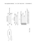 COMPOSITIONS AND METHODS FOR PROCESSING AND AMPLIFICATION OF DNA,     INCLUDING USING MULTIPLE ENZYMES IN A SINGLE REACTION diagram and image